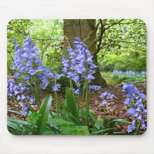 BLUEBELL WOOD ~ Mousepad # 3 Muismat (Voorkant)