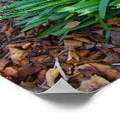 BLUEBELL WOOD ~ Poster # 10 (Hoek)