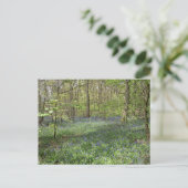 Bluebell Wood Poynton Cheshire Briefkaart (Staand voorkant)