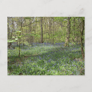 Bluebell Wood Poynton Cheshire Briefkaart
