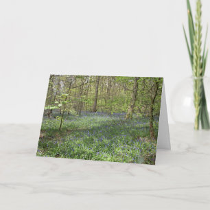 Bluebell Wood Poynton Cheshire Briefkaart