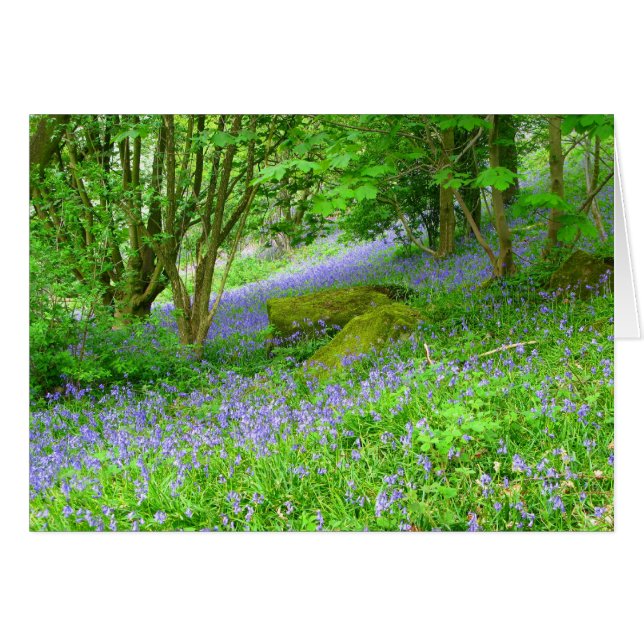 Bluebell Woods (Devant horizontal)