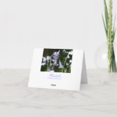 Bluebells Bedankkaart (Achterkant)