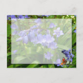 BLUEBELLS~ Briefkaart # 2 (Achterkant)