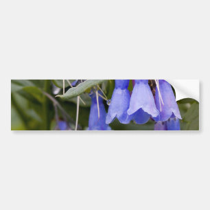 Bluebells Bumpersticker
