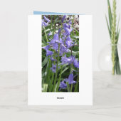 Bluebells Close Up Carte photo - Tall (Dos)