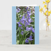 Bluebells Close Up Carte photo - Tall (Fleur jaune)