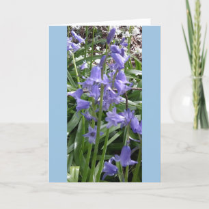 Bluebells Close up Photo Card - Tall Kaart