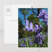Bluebells, Essex, Angleterre - Carte postale (Devant / Derrière)