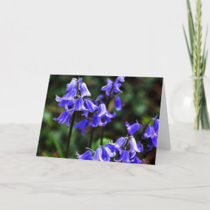 Bluebells gefractioneerd kaart