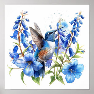 Bluebells Hummingbird Waterverf Print