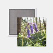 Bluebells Magnet (Recto/Verso)