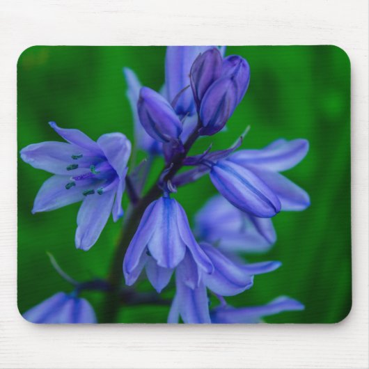 Bluebells Mousemat Muismat (Voorkant)