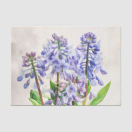 BLUEBELLS-ontkoppelingsdocument Tissuepapier