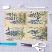 Bluebells Tissuepapier (Craft)