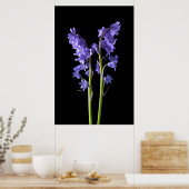 Bluebells, uit de Bossen die ik Creëer. Poster (Keuken)