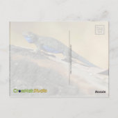 BlueBelly Lizard Briefkaart (Achterkant)