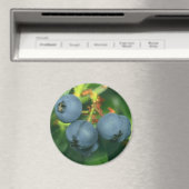 BLUEBERRIA MAGNEET (Insitu (Vaatwasser))