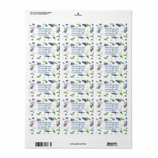 Blueberries Waterverf Fruit Retouradres Etiket (Full Sheet)