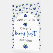 Blueberry 1er anniversaire Berry Premier accueil (Angle)