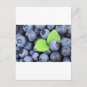BLUEBERRY BRIEFKAART