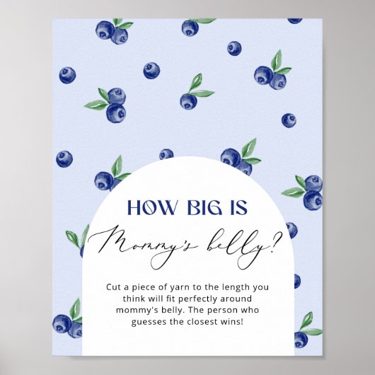 Blueberry hoe groot is mama's buik spel poster (Voorkant)