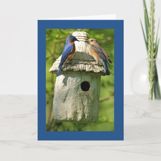 Bluebird Anniversary Card Kaart (Voorkant)