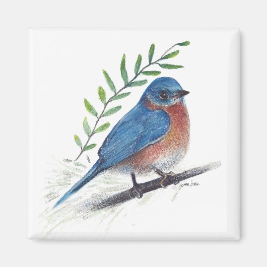 Bluebird Bird Art Magnet Magneet (Voorkant)