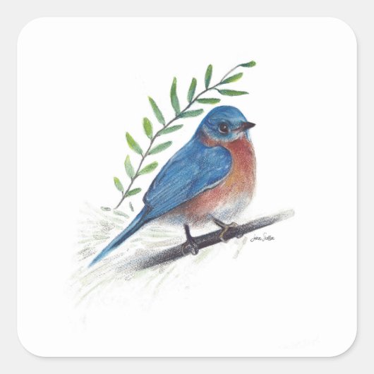 Bluebird Bird Art Square Sticker (Voorkant)