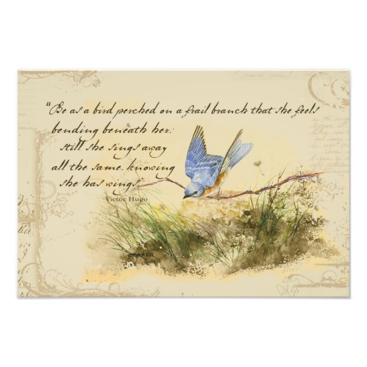 Bluebird Bird on a Branch Victor Hugo Poem Foto Afdruk (Voorkant)