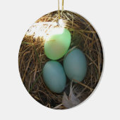 Bluebird Eggs Ornament (Links)