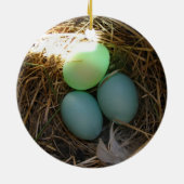 Bluebird Eggs Ornament (Achterkant)