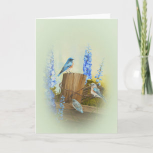 Bluebird familie groet kaart