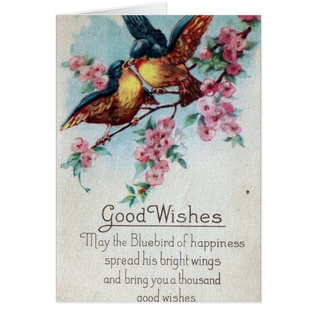  Bluebird Good Wishes (Voorkant)