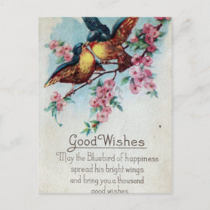  Bluebird Good Wishes Briefkaart