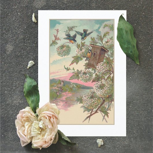  Bluebird House Hydrangea Birthday Kaart