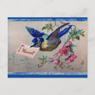 Bluebird I Moved Briefkaart