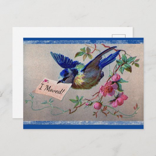  Bluebird I Moved Briefkaart (Voorkant / Achterkant)