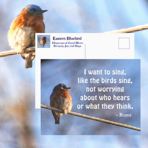 Bluebird ik wil zingen Rumi Quote Fotografisch Briefkaart