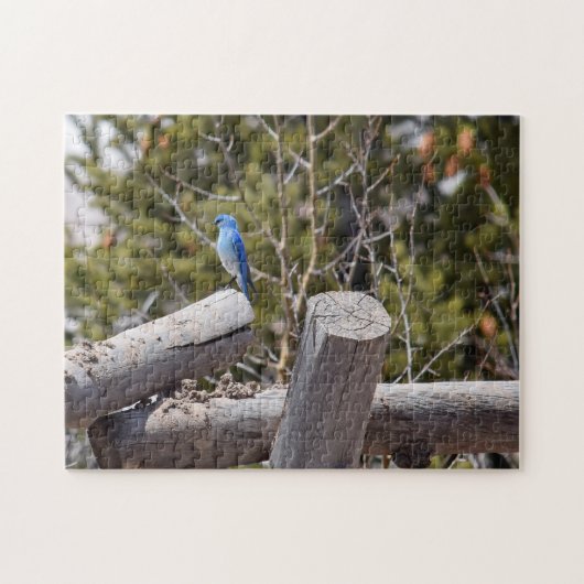 Bluebird in Mountain - 11x14 - 252 pcs. Legpuzzel (Horizontaal)