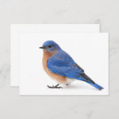 Bluebird Kaart (Voorkant / Achterkant)