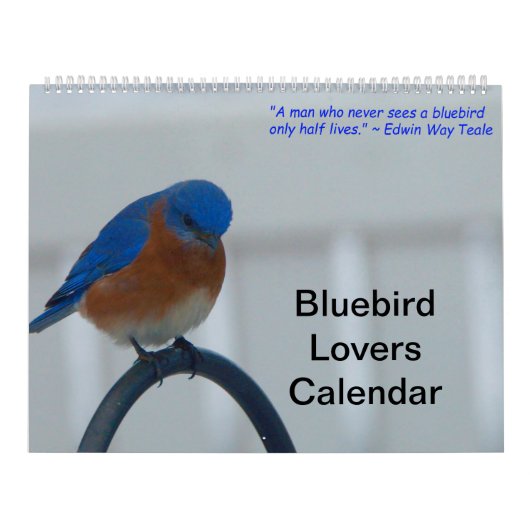 Bluebird Lovers Kalender (Hoes)