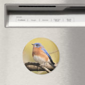 Bluebird Magnet (In Situ (Lave-vaisselle))