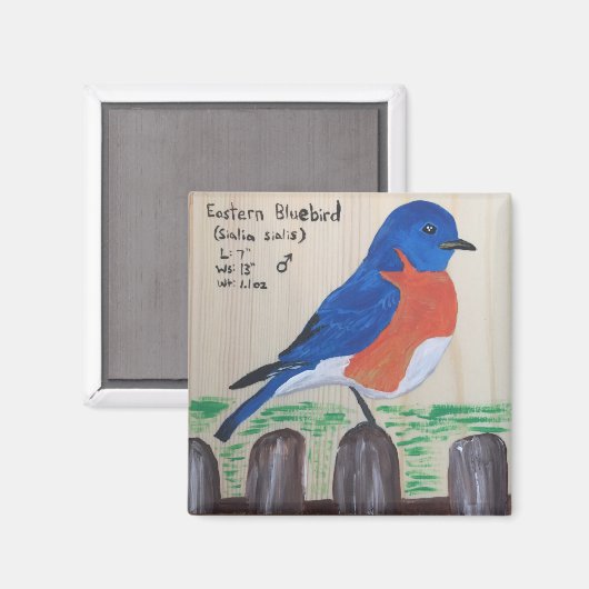 Bluebird Magnet (Recto/Verso)