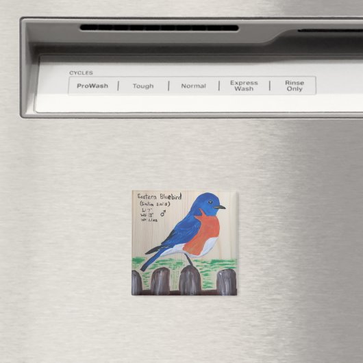 Bluebird Magnet (In Situ (Lave-vaisselle))
