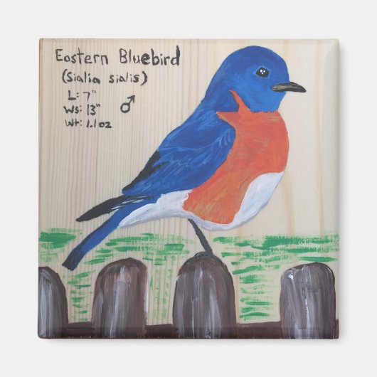 Bluebird Magnet (Devant)