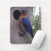 Bluebird Nest Box Mousepad Muismat (Met muis)