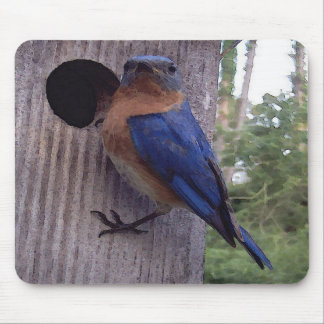Bluebird Nest Box Mousepad Muismat