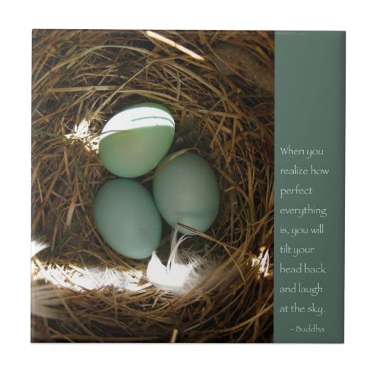 Bluebird Nest w. Buddha Quote Tegeltje (Voorkant)