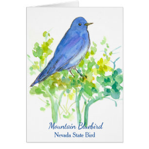 Bluebird Nevada State Bird Blank